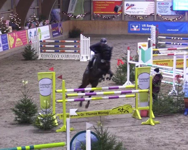 Reitturnier Leck 2024
