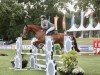 jumper Dia Velino (German Sport Horse, 2020, from Dia Corrado)