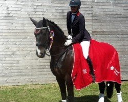 dressage horse Regretto (Hanoverian, 2002, from Rotspon)