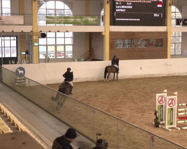 Reitturnier Stadl-Paura 2024