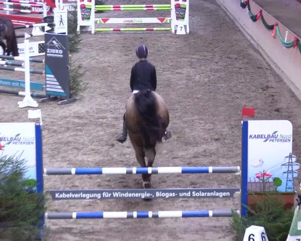 Reitturnier Leck 2024