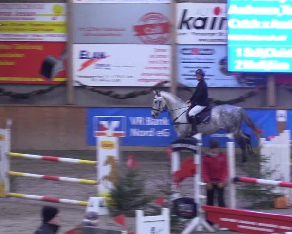 Reitturnier Leck 2024