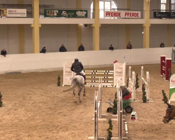 Reitturnier Stadl-Paura 2024