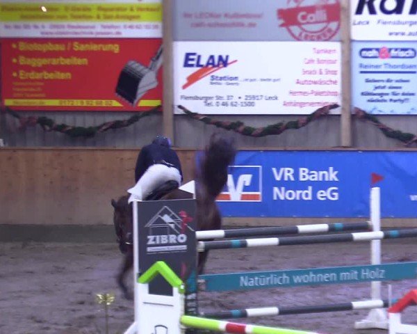 Reitturnier Leck 2024