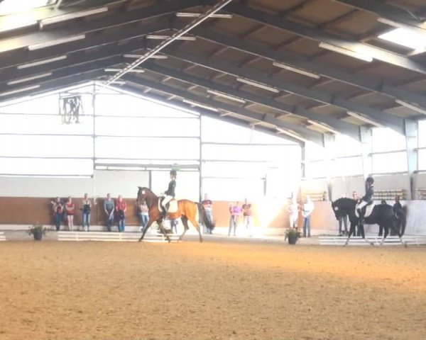 Datteln 2013