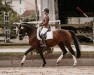 dressage horse Renesmee 8 (Hanoverian, 2009, from Rotspon)